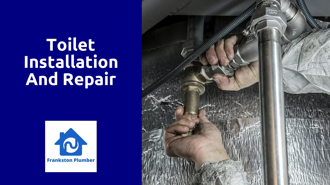 Toilet installation and repair