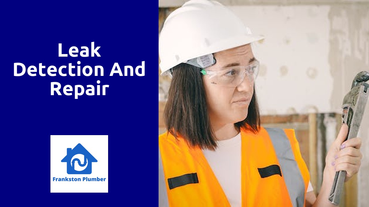 Leak detection and repair